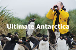 Ultimate Antarctica