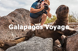 Galapagos Voyage
