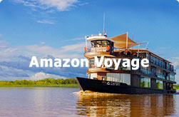 Amazon Voyage